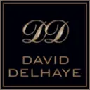 David Delhaye