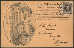 Lot 516