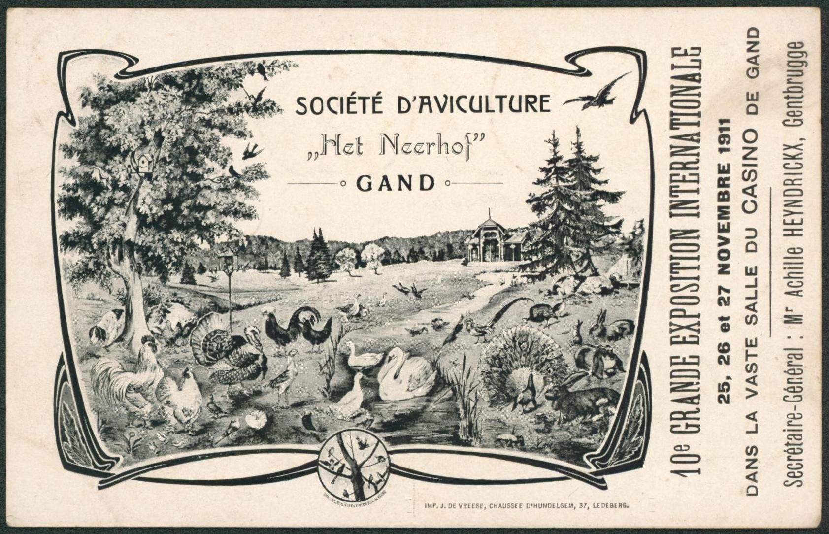 Affranch. Caritas (5ctm) sur CP illustrée "société d'aviculture" (Gand), propagande 10e grande exposition internationale (1911) > Ostende