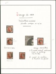 Lot 1