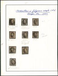 Lot 12
