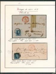 Lot 16