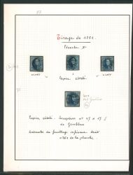 Lot 19