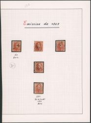 Lot 24