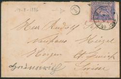 Lot 56