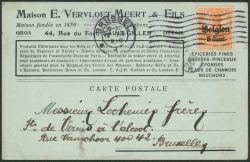 Lot 142