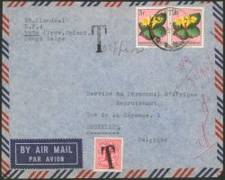 Lot 323