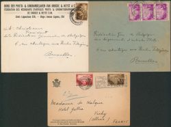 Lot 342