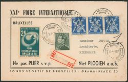 Lot 349