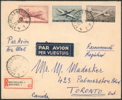 Lot 495