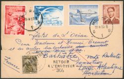 Lot 590