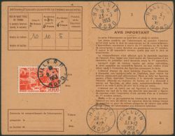 Lot 596