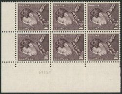 Lot 627