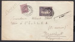 Lot 286
