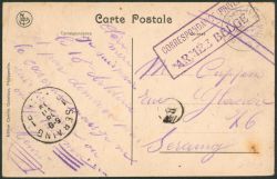 Lot 323