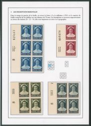 Lot 341