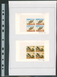 Lot 343