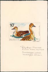 Lot 348