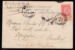 Lot 220