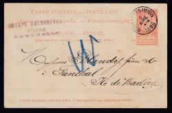 Lot 223