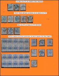 Lot 301