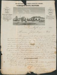 Lot 305