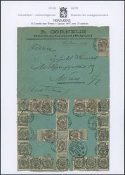 Lot 323