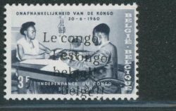 Lot 491