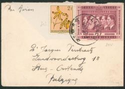 Lot 503