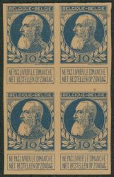 Lot 531