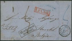 Lot 564