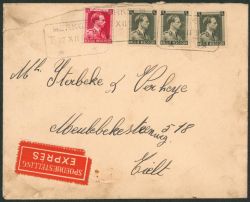 Lot 655