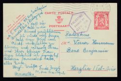 Lot 252