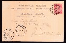 Lot 260