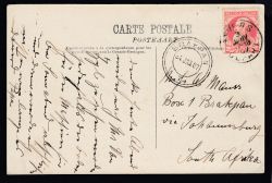Lot 279