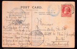Lot 295