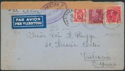 Lot 335