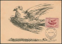 Lot 604